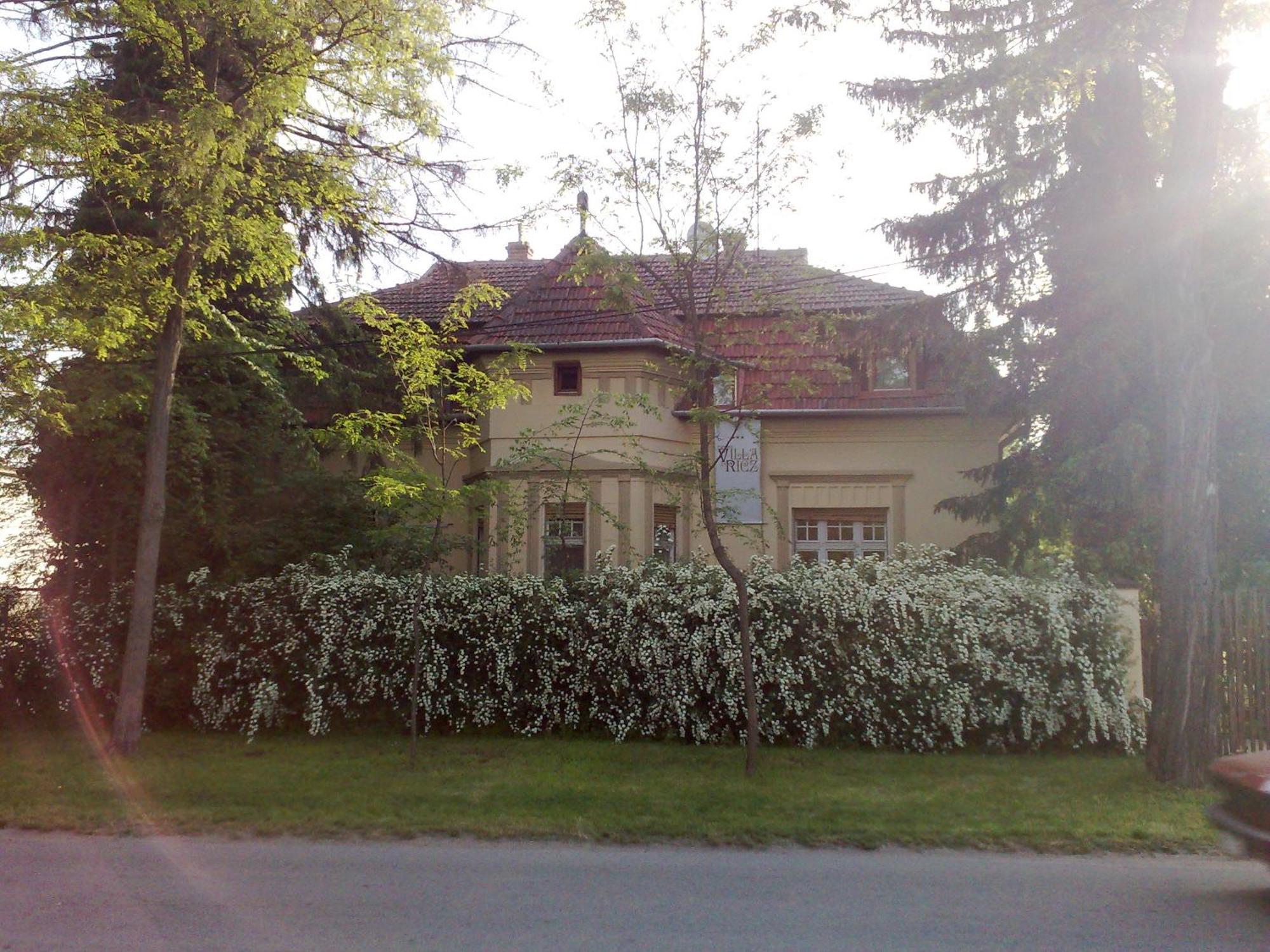 Villa Ricz Palić Εξωτερικό φωτογραφία