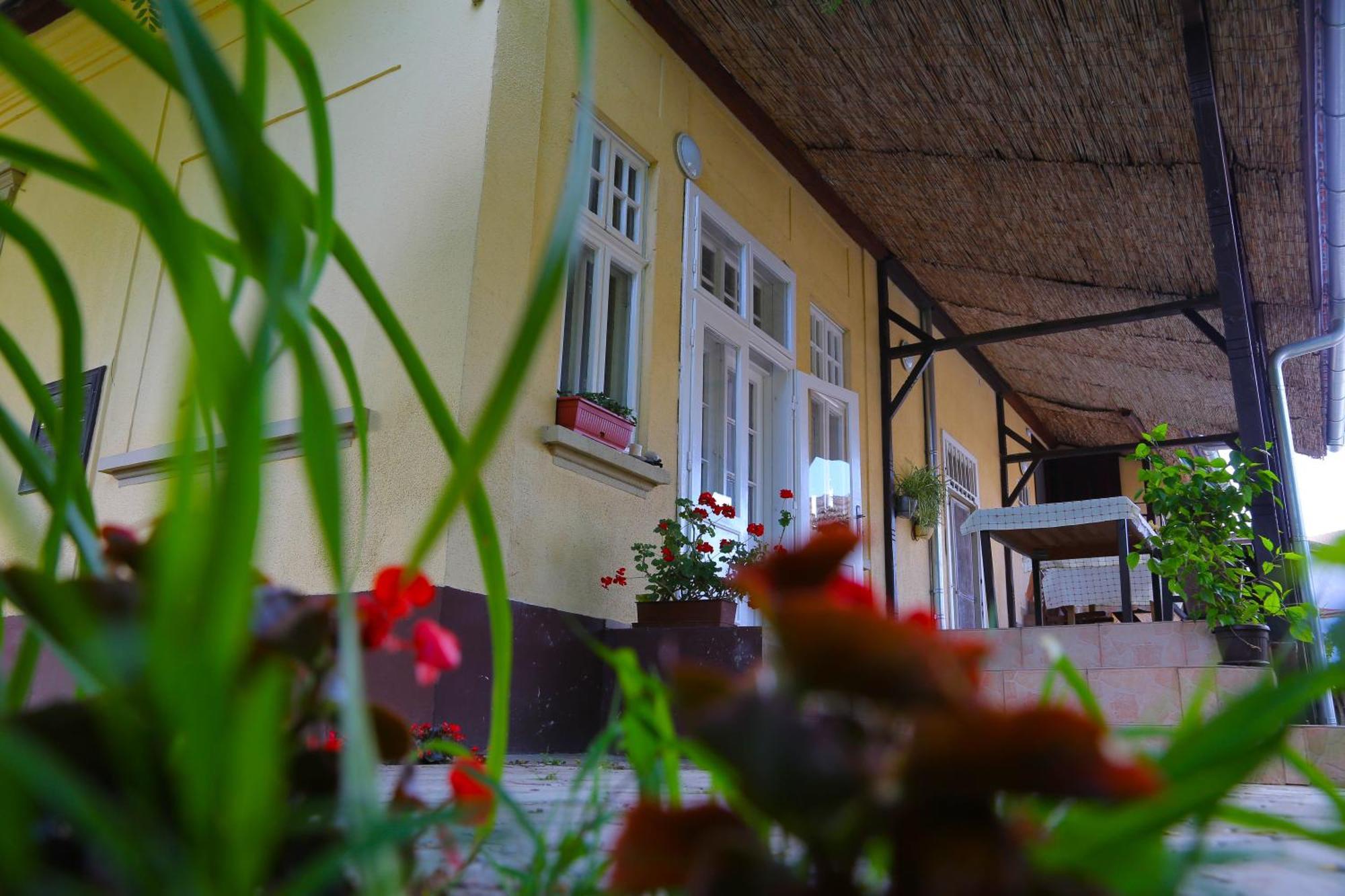 Villa Ricz Palić Εξωτερικό φωτογραφία