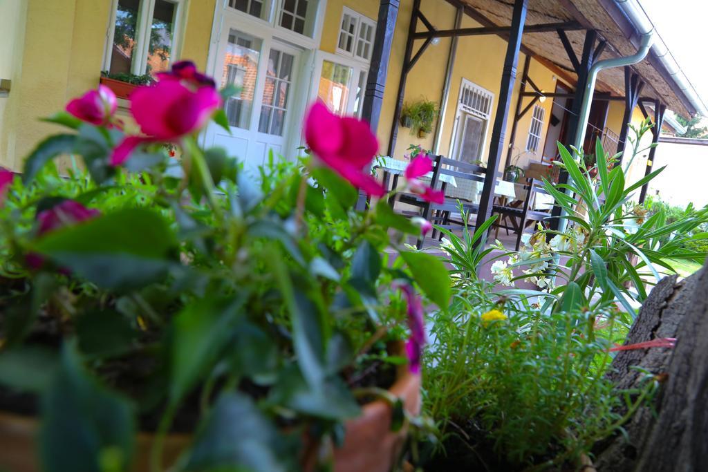Villa Ricz Palić Εξωτερικό φωτογραφία