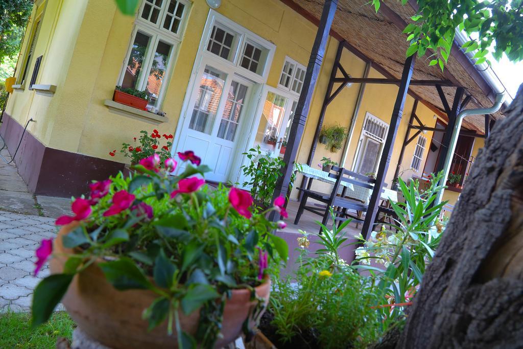 Villa Ricz Palić Εξωτερικό φωτογραφία