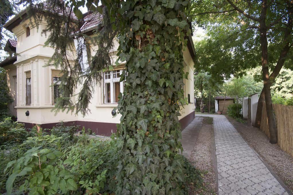 Villa Ricz Palić Εξωτερικό φωτογραφία